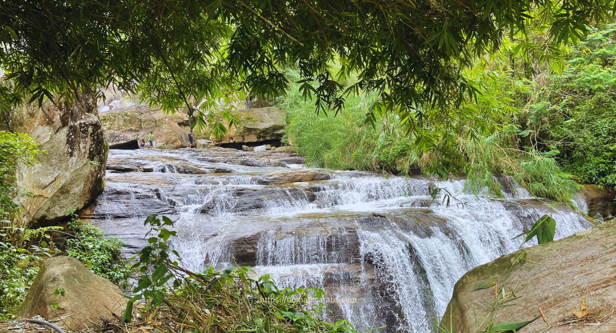 سريلانكا: زُر شلالات نوراليا العالية