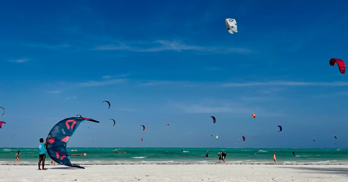 زنجبار   تنزانيا  خطوات للتخطيط والسفر لوجهتك السياحية وترتيبات الرحلات وقضاء إجازة ممتعة