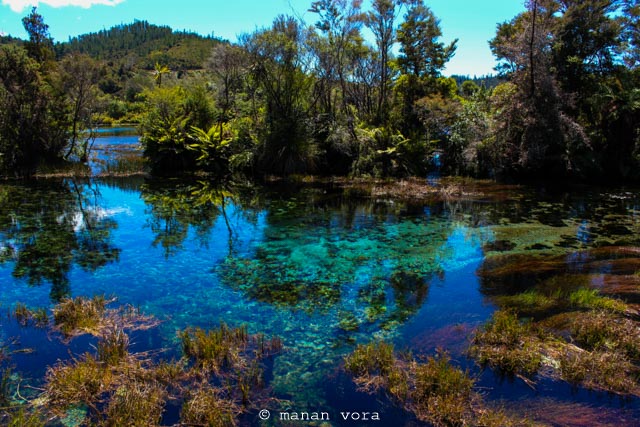 abel tasman
