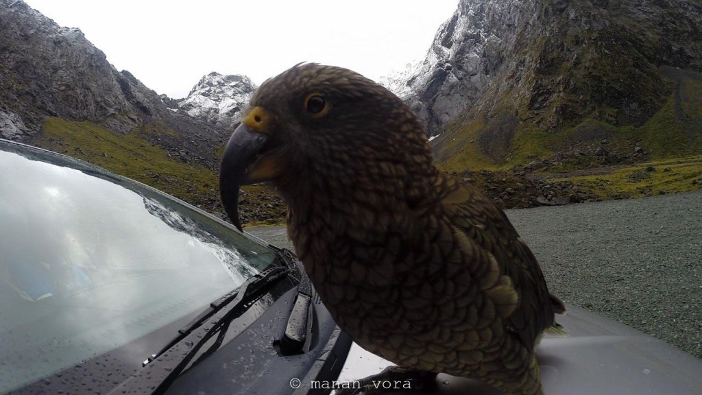 milford sounds