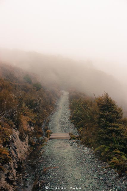 treking, milford sound