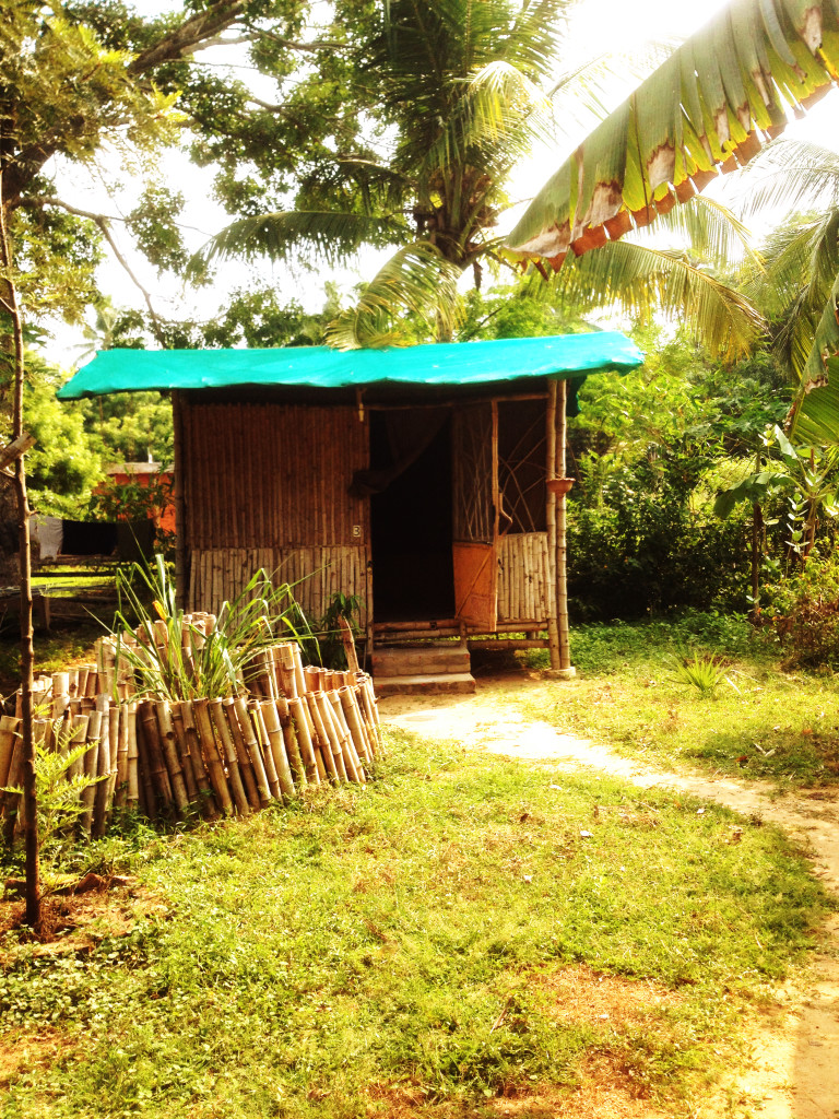 Bamboo Center, Auroville