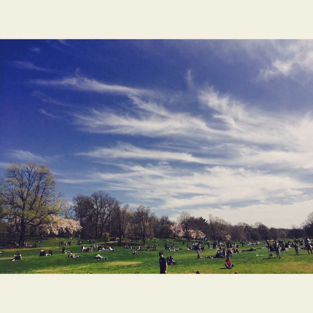 new-york-1