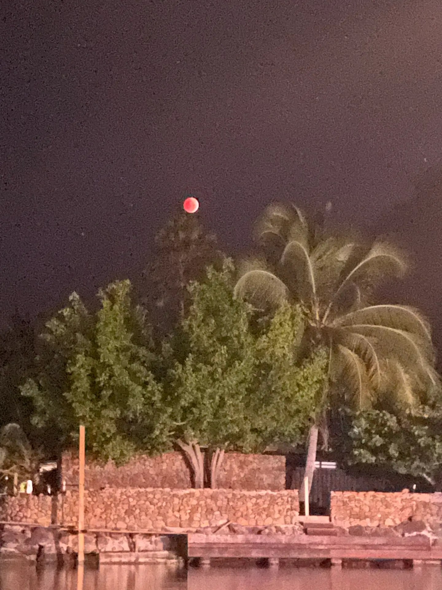 Full moon/eclipse night in Moorea