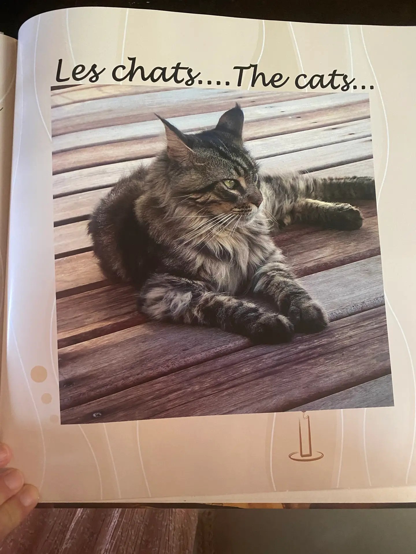 In the hotel book, Moorea