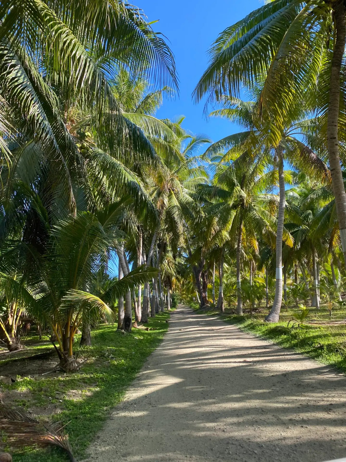 Marae Manunu, Huahine