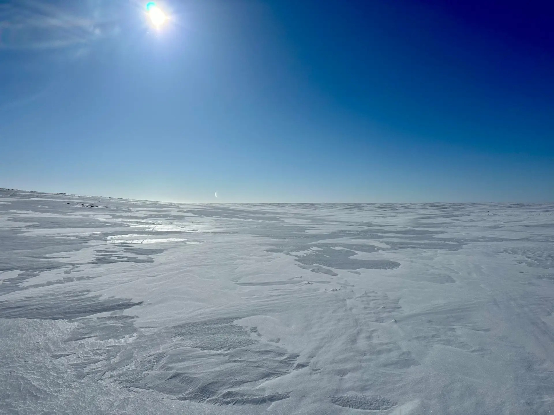 I didn’t even notice the moon down there when I took the pic 😳