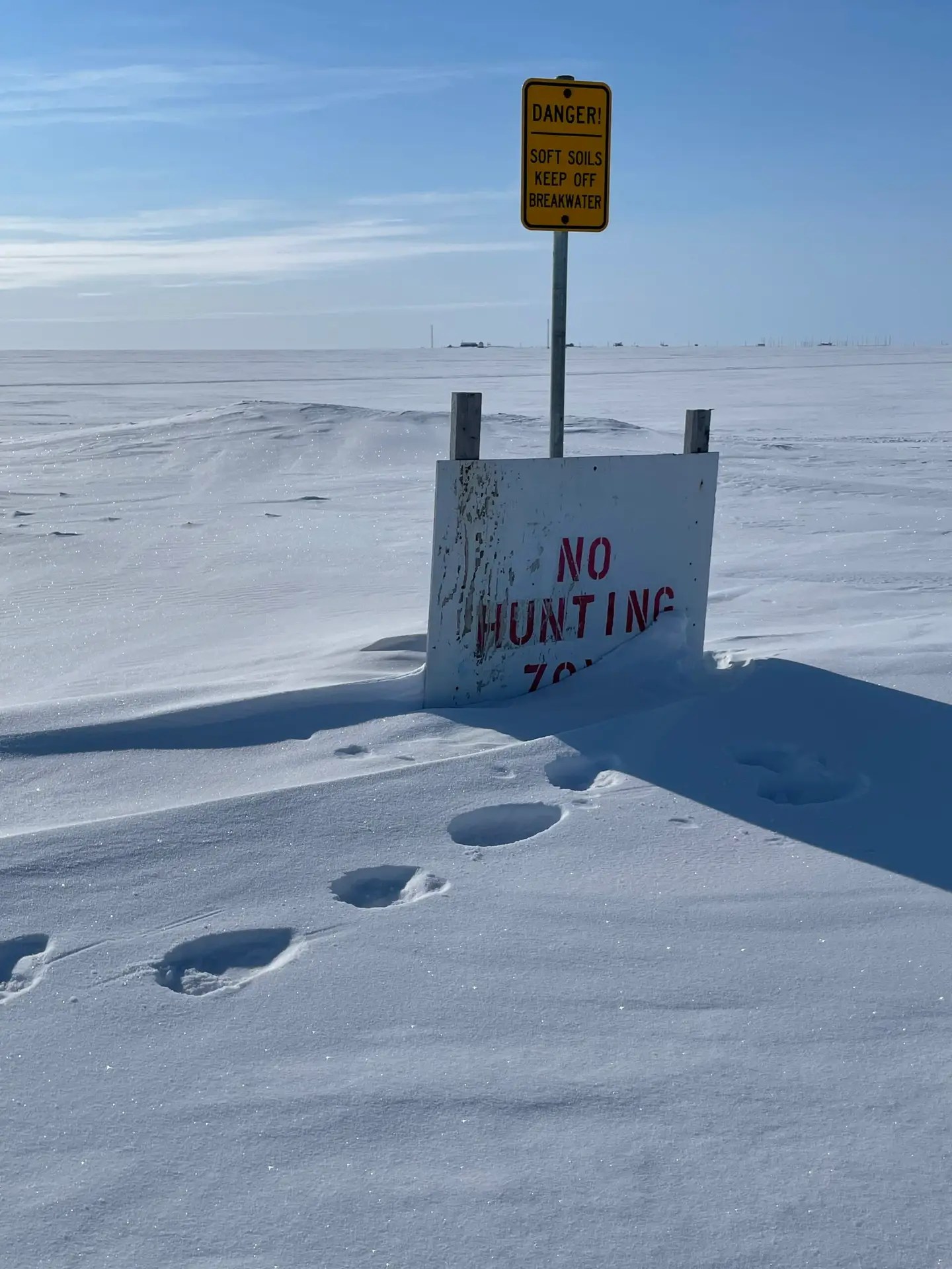 Polar bears got jokes!