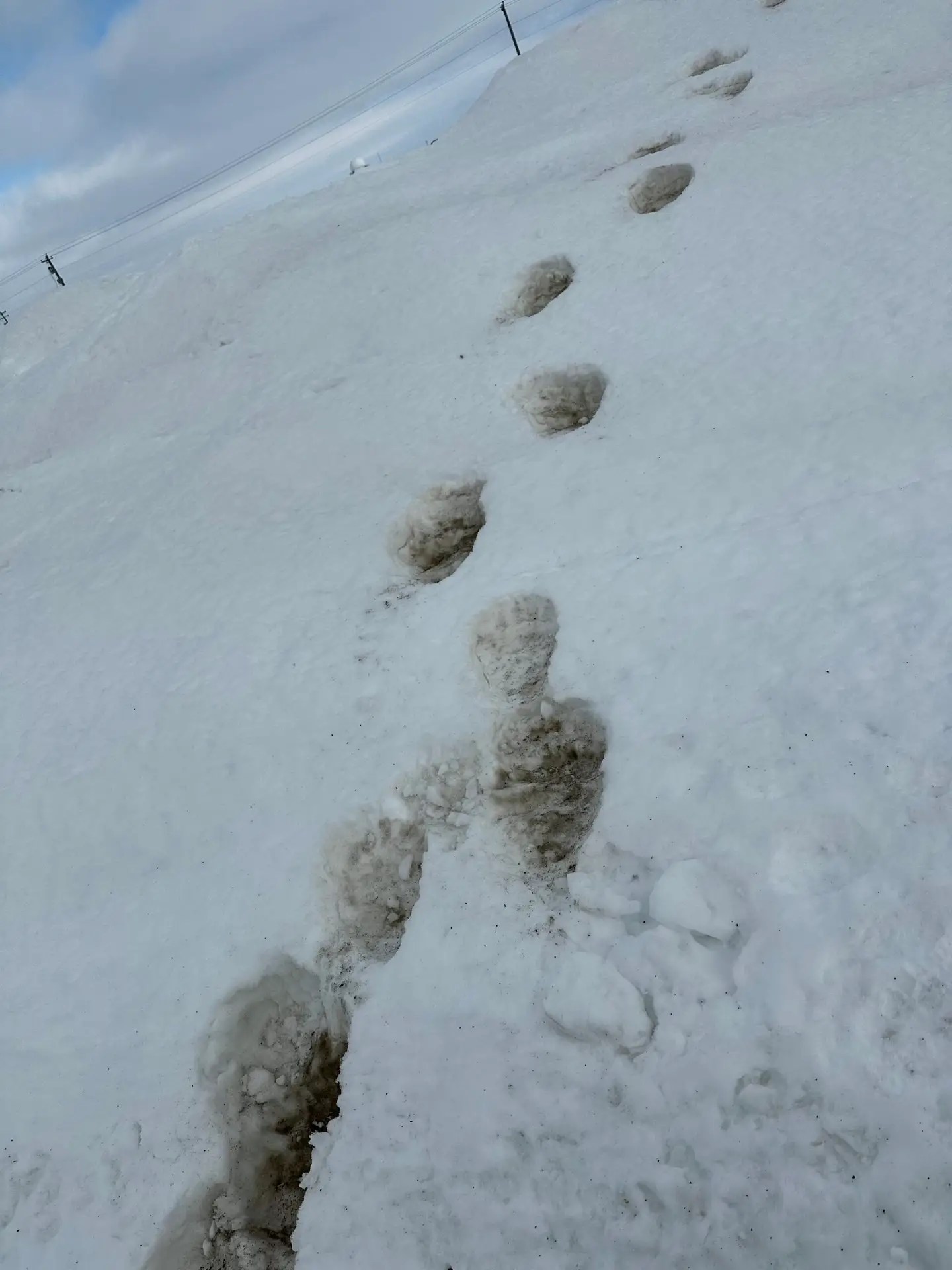 May 15, more tracks…