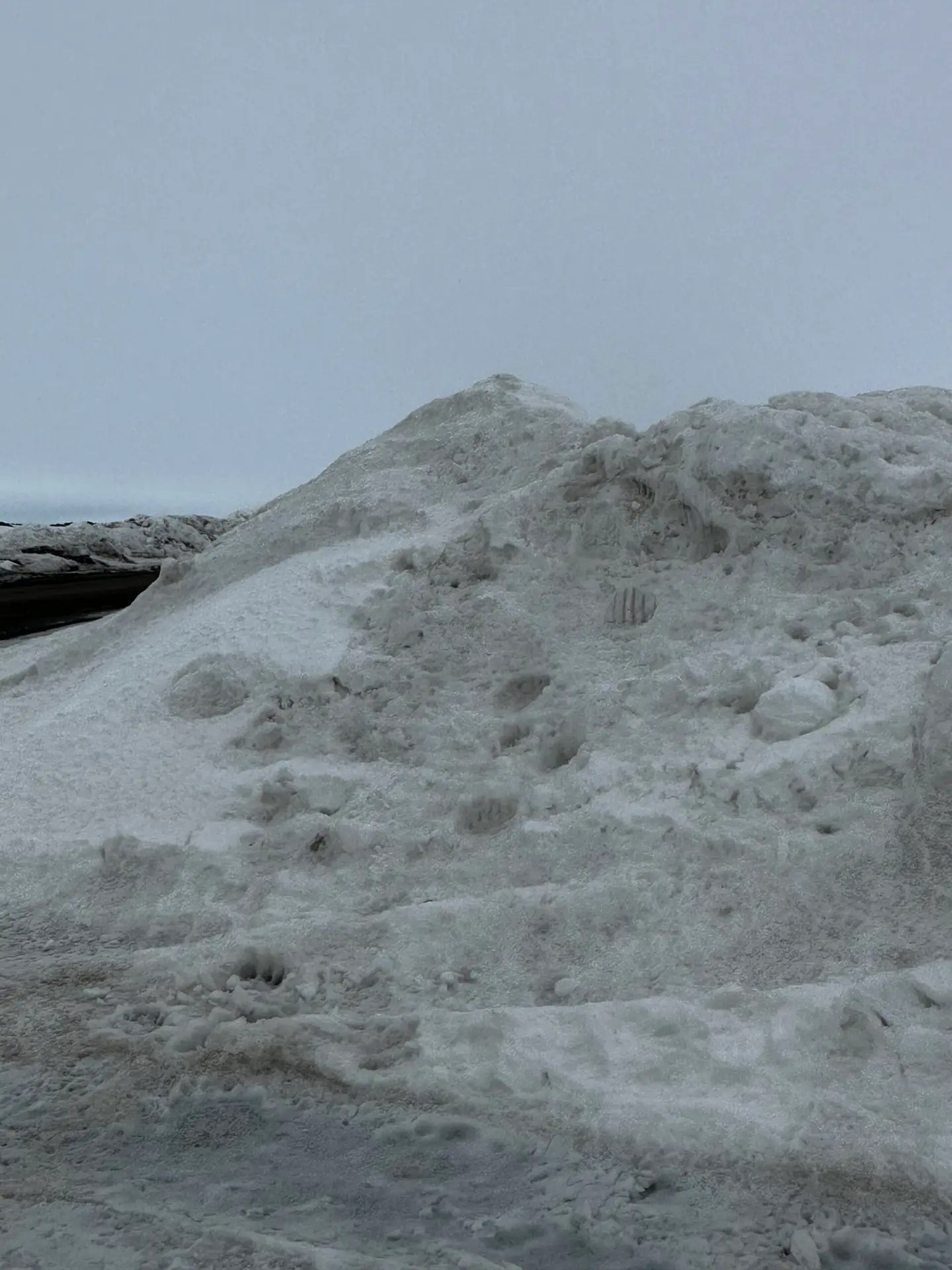 And May 18...now they're everywhere!