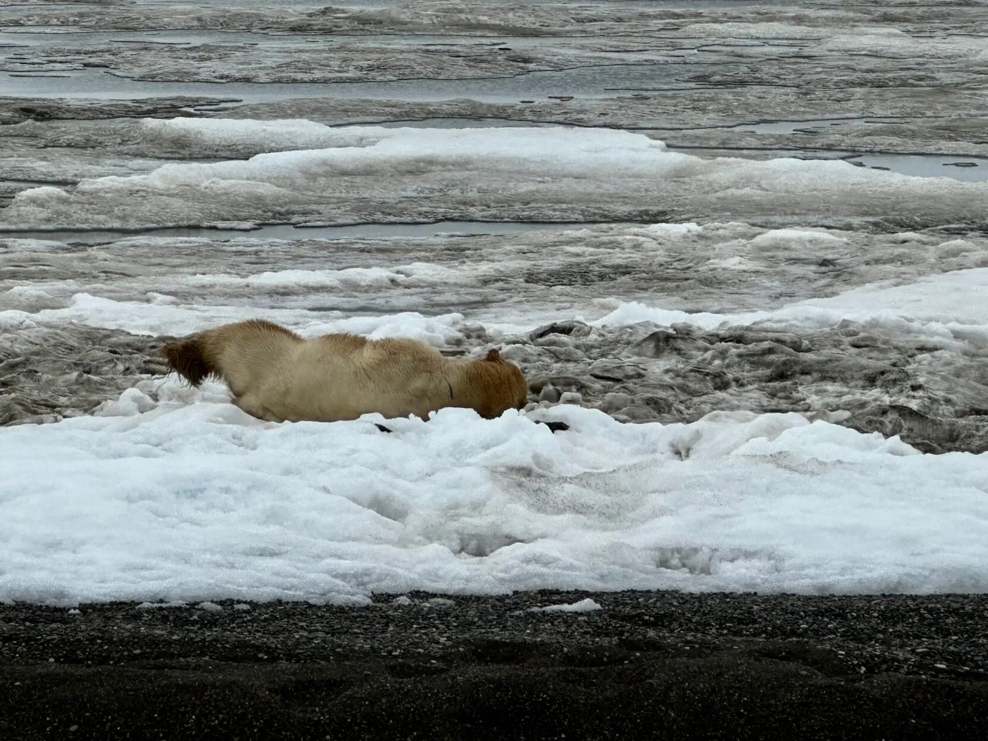 Streeeeeeetch!!! 😂