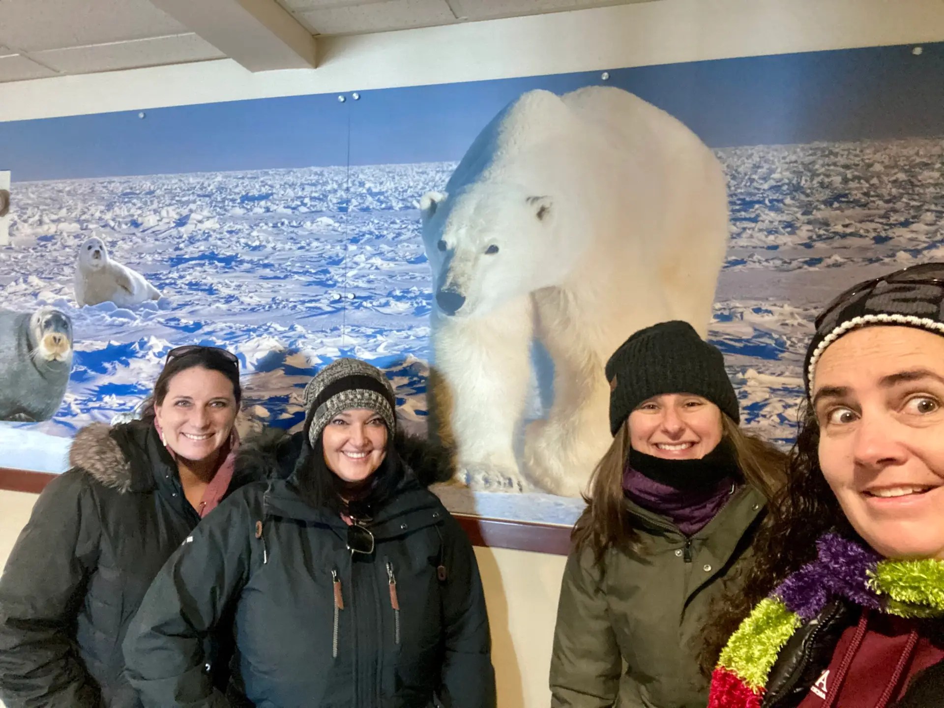 This was the only polar bear we saw this time...