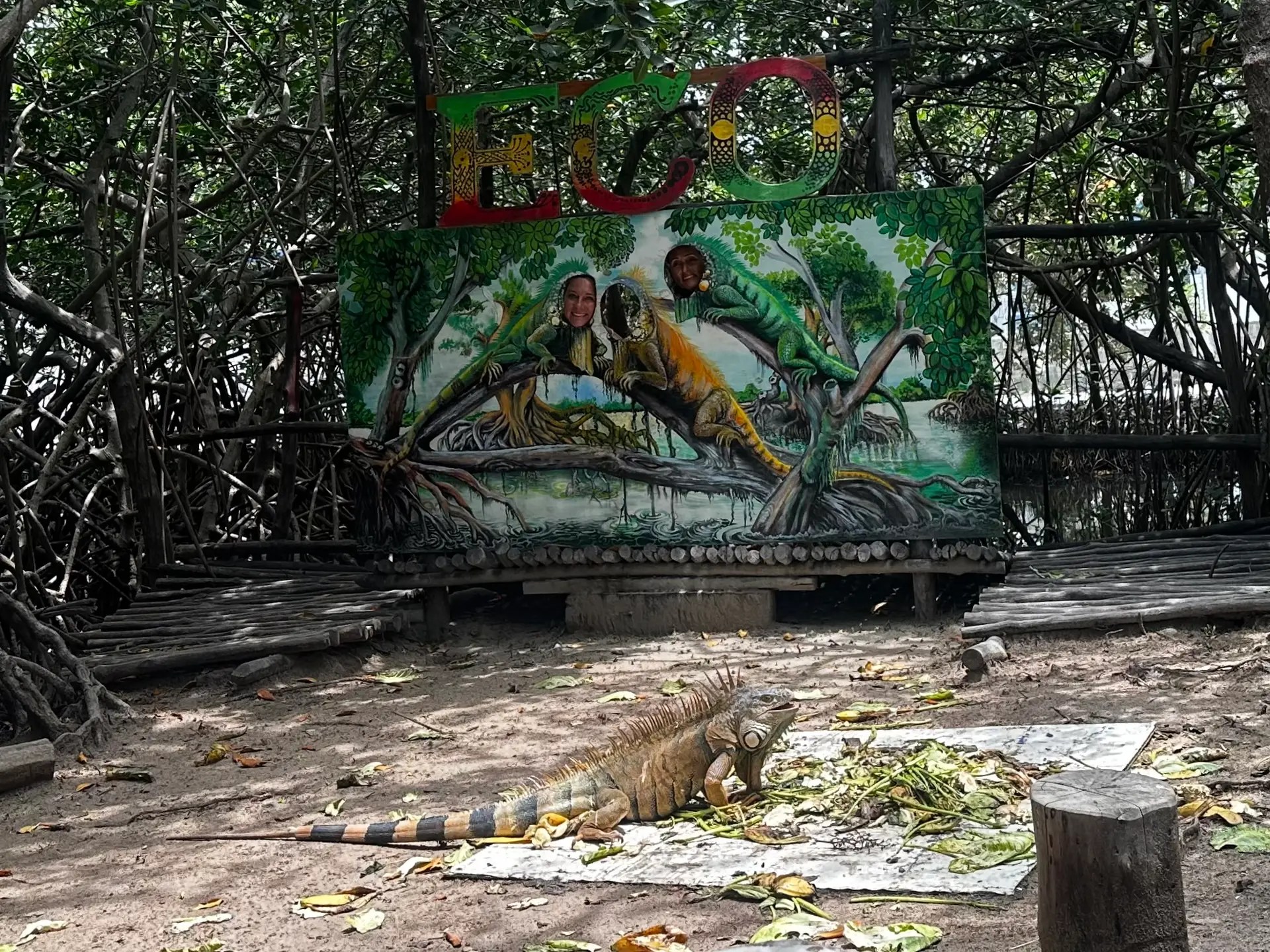 At the iguana sanctuary