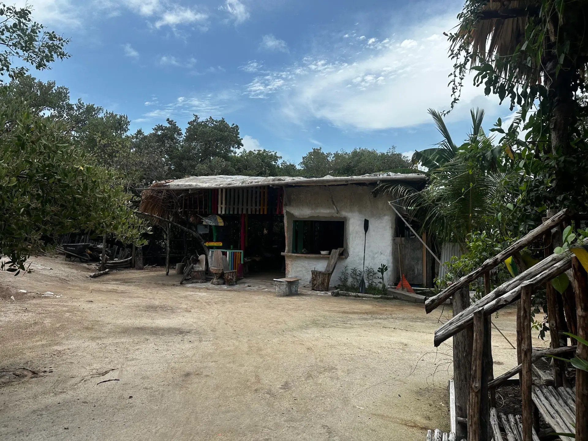 Dining at the iguana sanctuary
