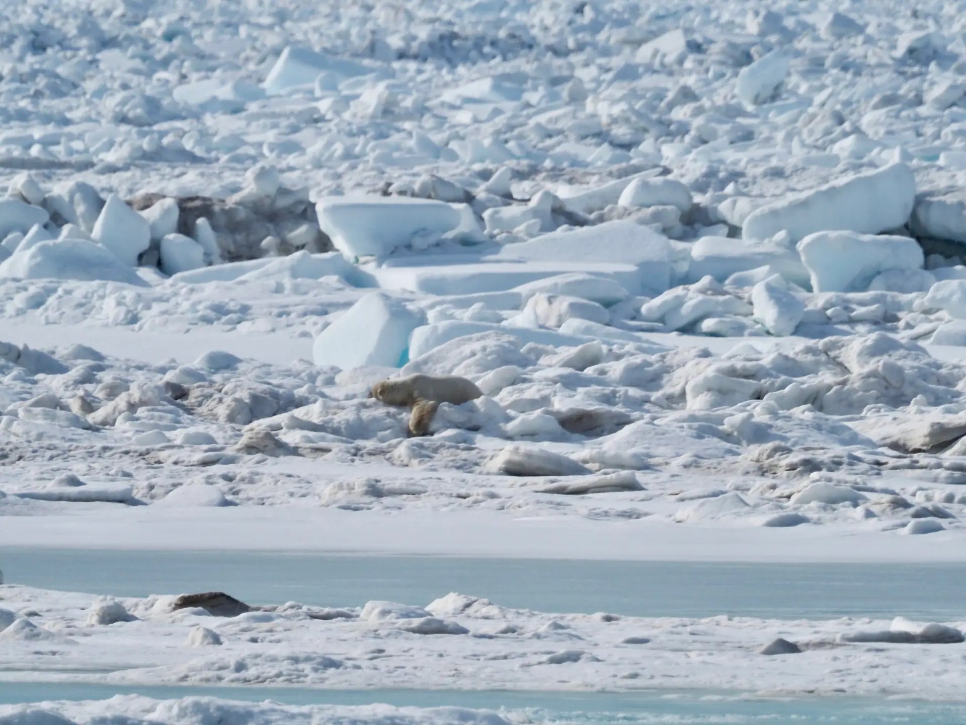 She ate and then got cozy