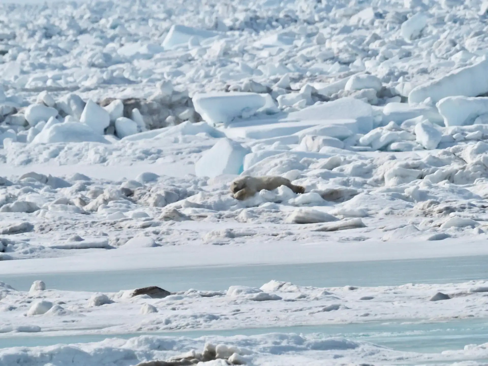 But she's still sleeping.