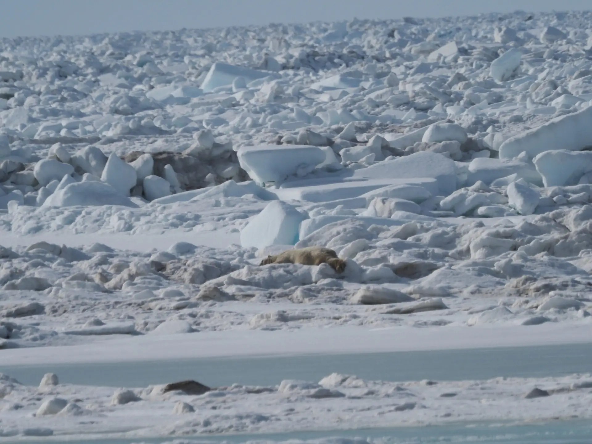 She made some slight adjsutments