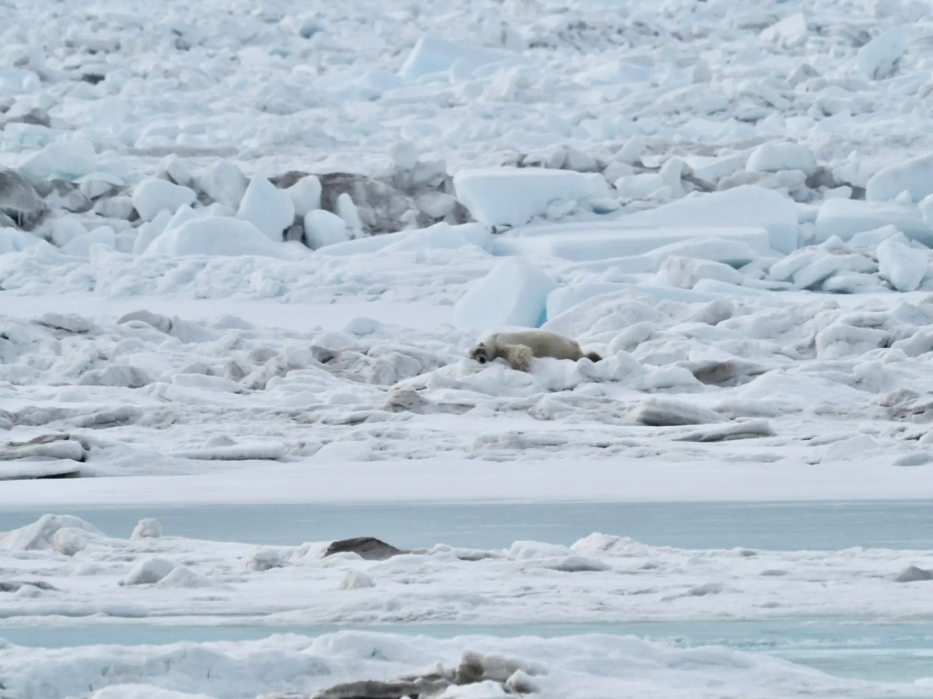 Man, she looks comfortable!