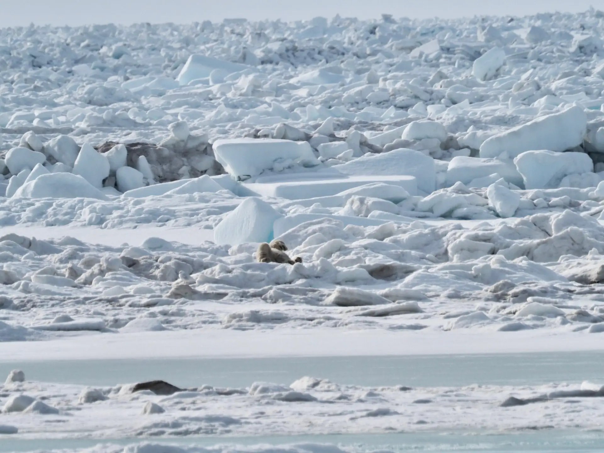 She rolled over on her back