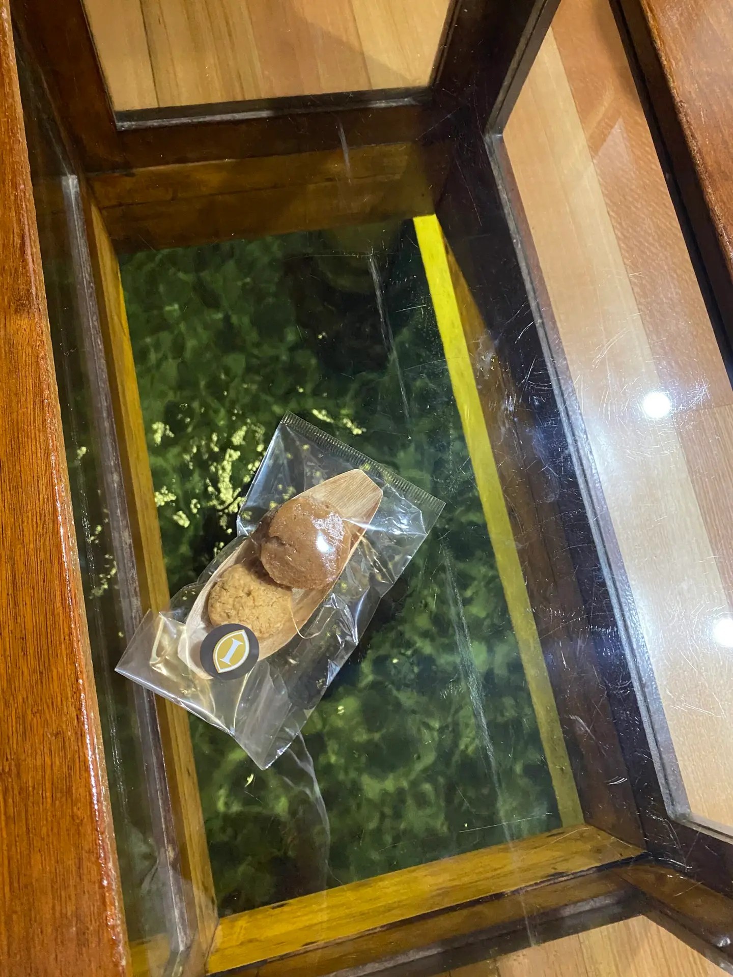 Fish food on our coffee table