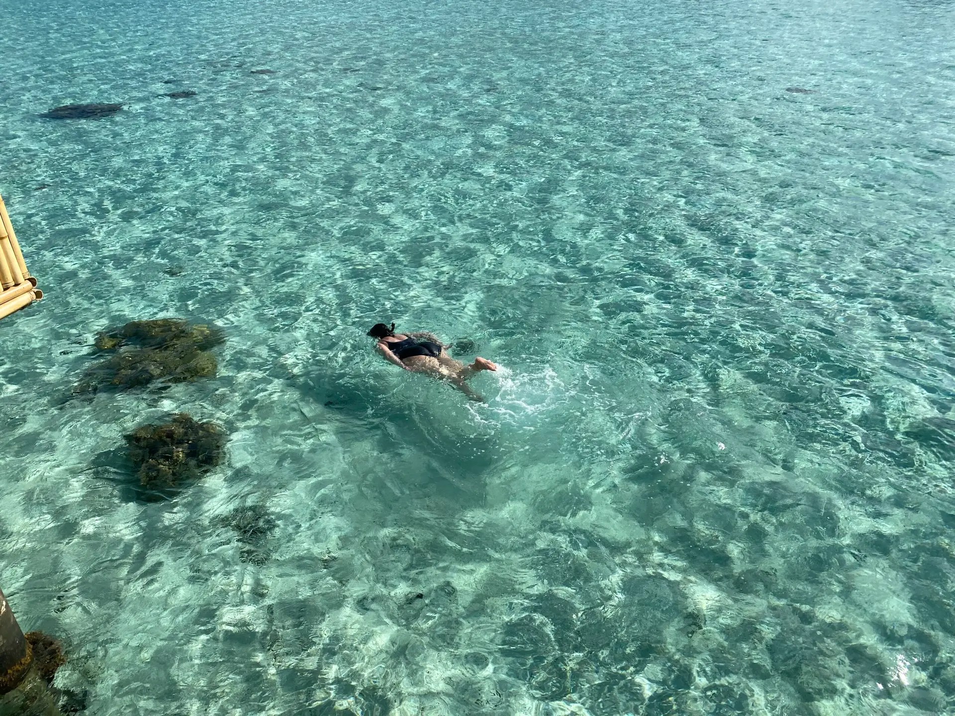 Rosie snorkeling to her heart's content