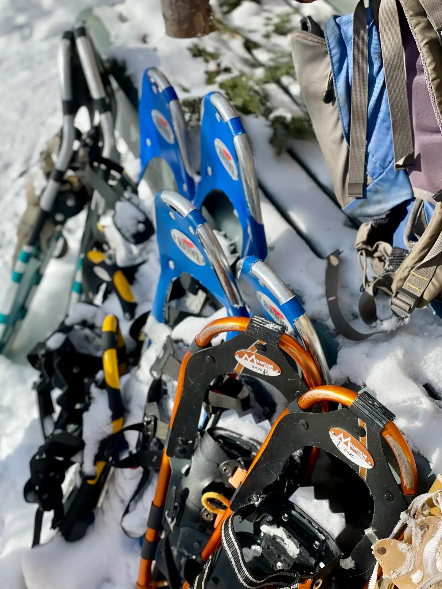 Shannon's collection of snowshoes