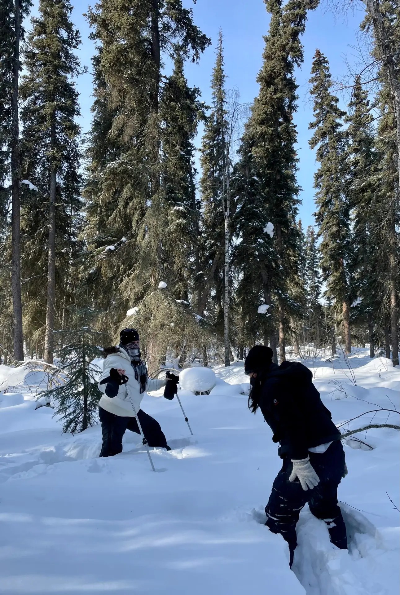 Me getting stuck in the snow. That's what I get for going off trail.