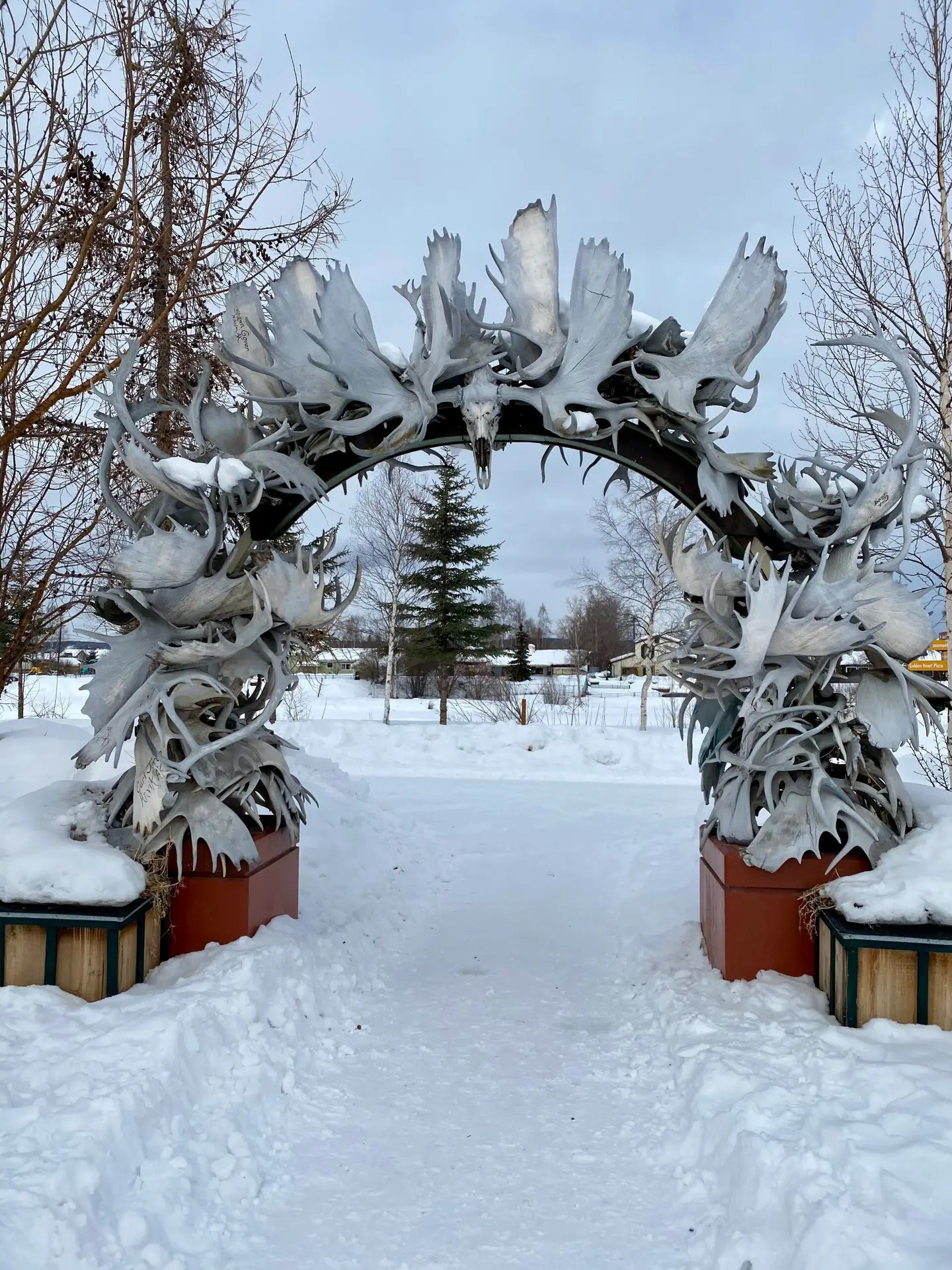 The Antler Arch