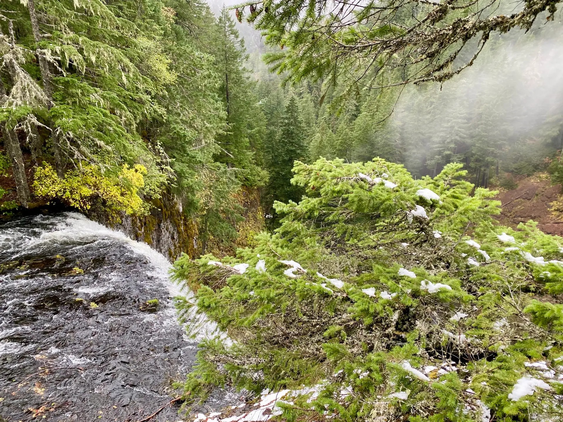 Top of Salt Creek Falls