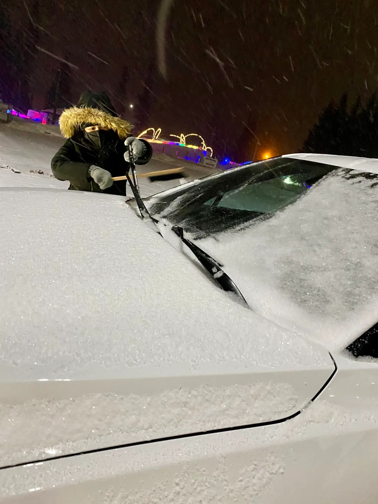 Our official snow scraper, Tiff!