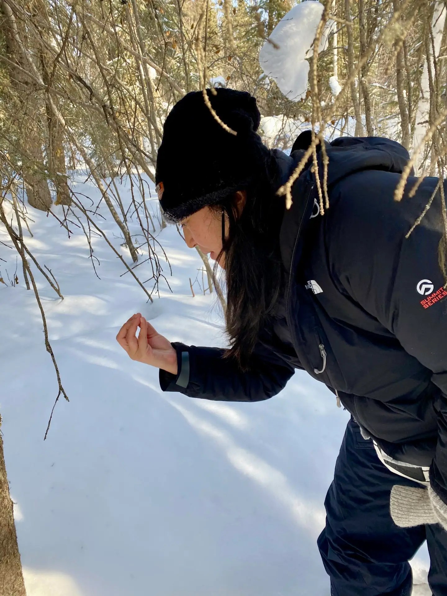 Tiff getting ready to taste spruce pitch