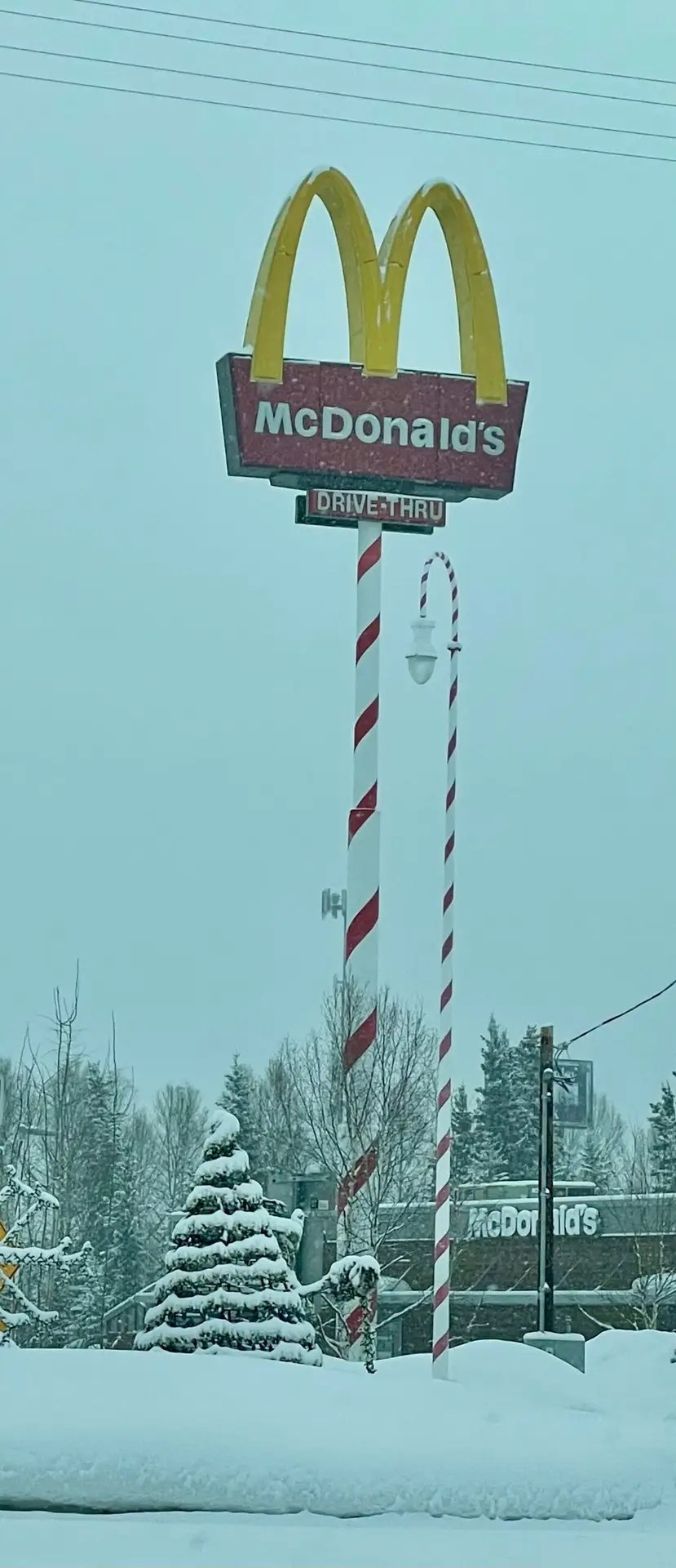 North Pole
