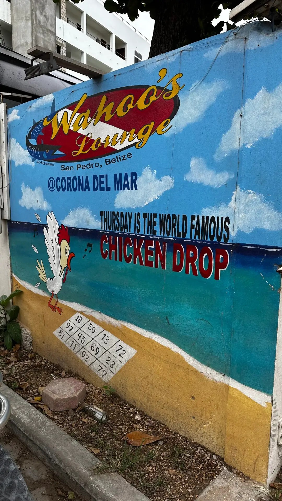 Wahoo's Chicken Drop