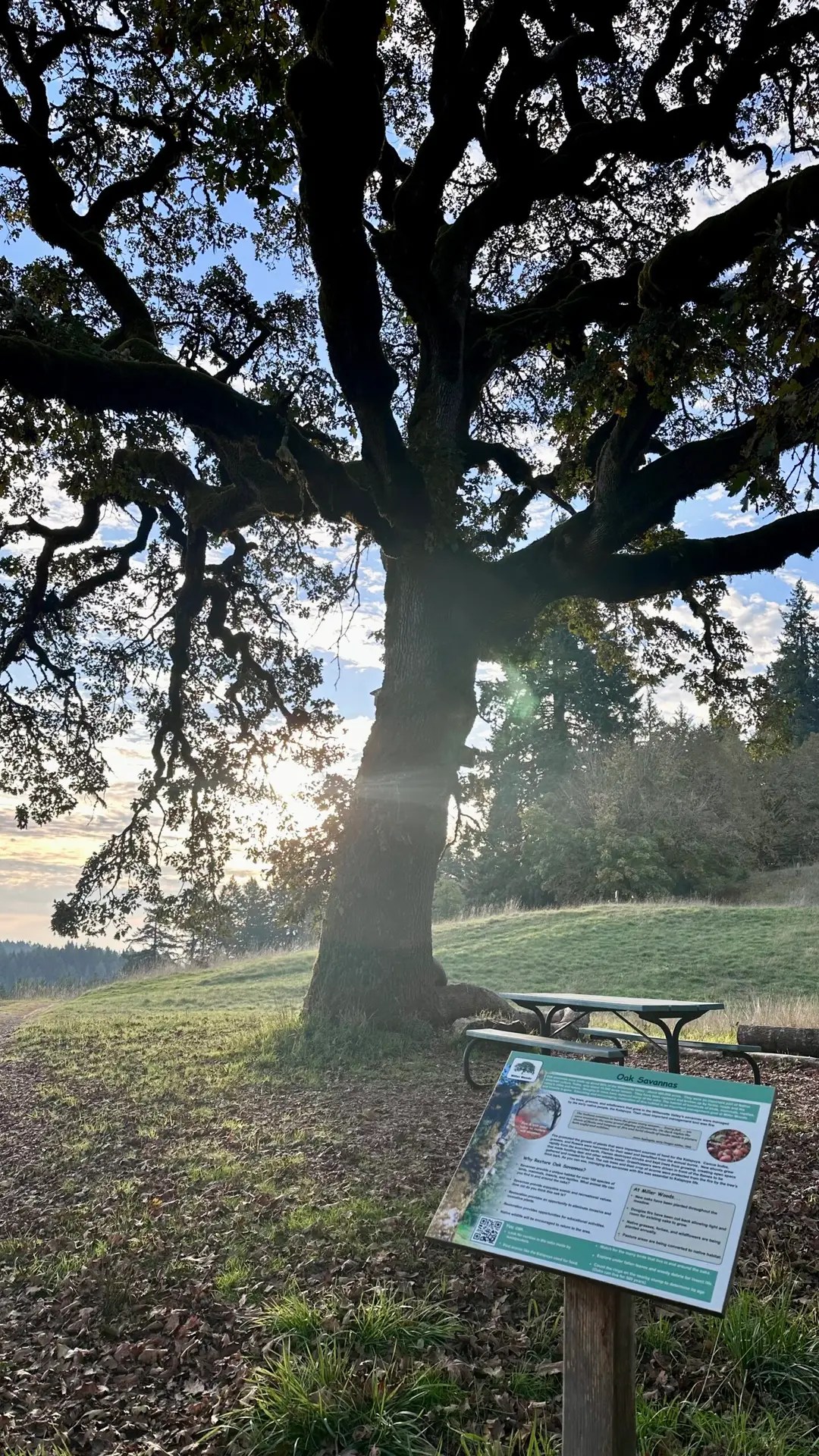 This park has lots of great places to sit and enjoy the beauty of nature