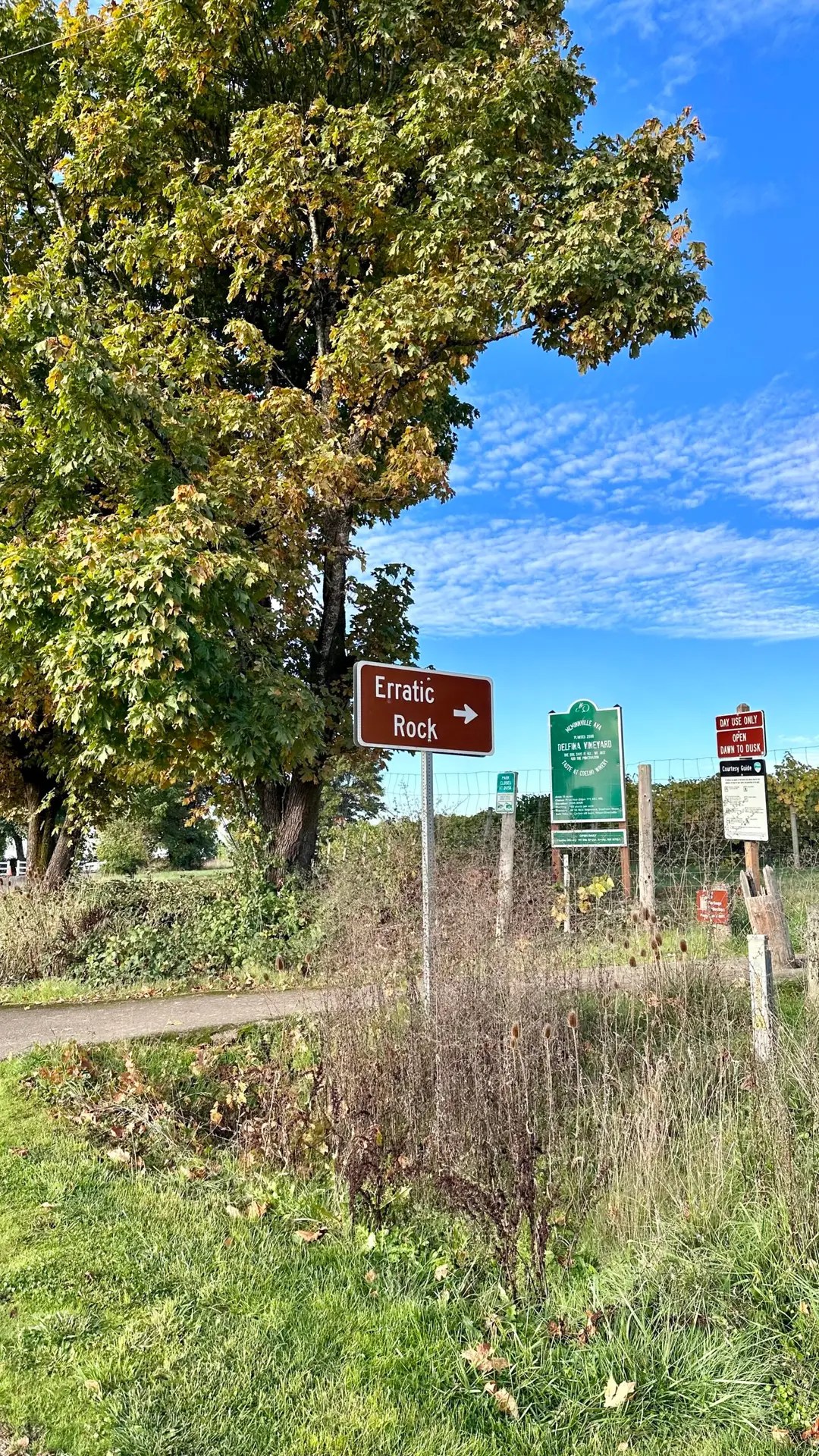 Headed to erratic rock