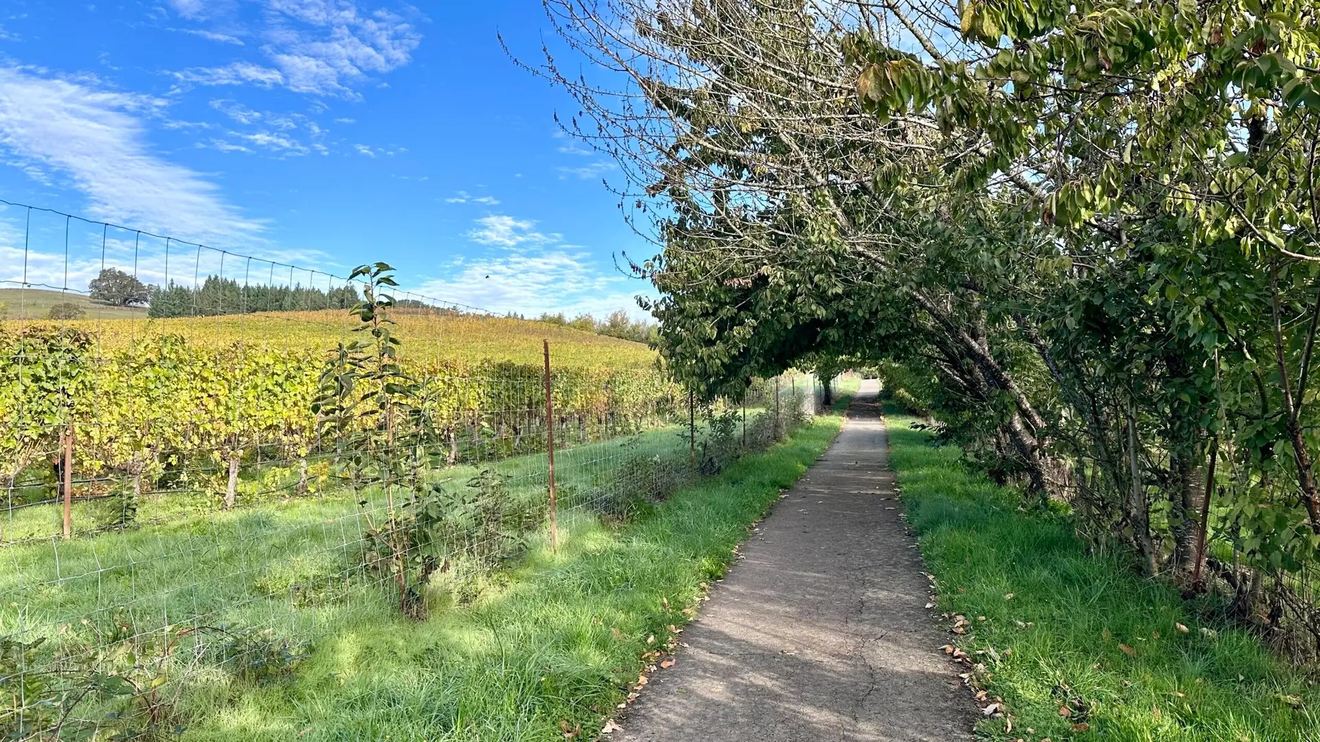 The trail to erratic rock was short but pretty