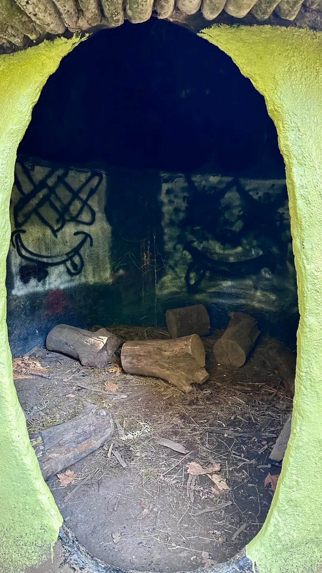 Inside the Mushroom House