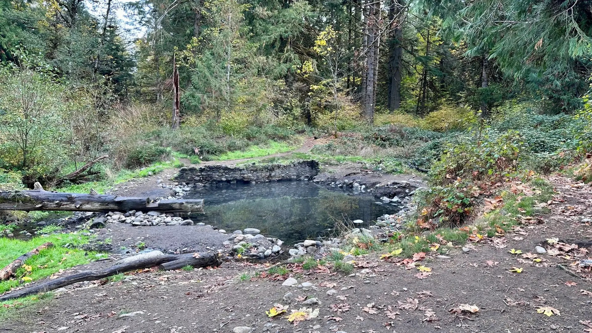McCreedie Hot Springs