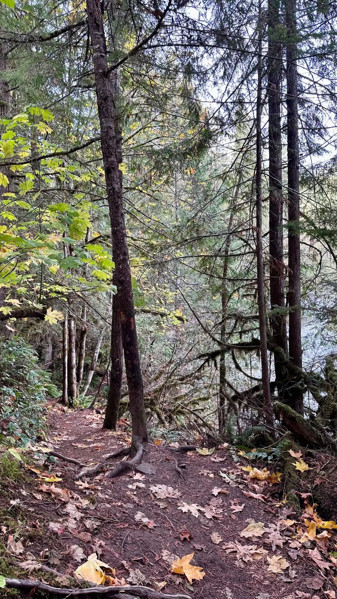The trail to the hot springs