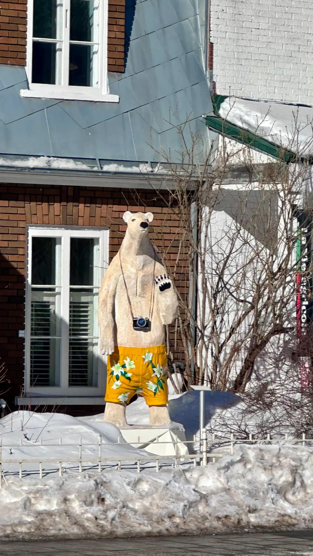 Haha, look at this guy!