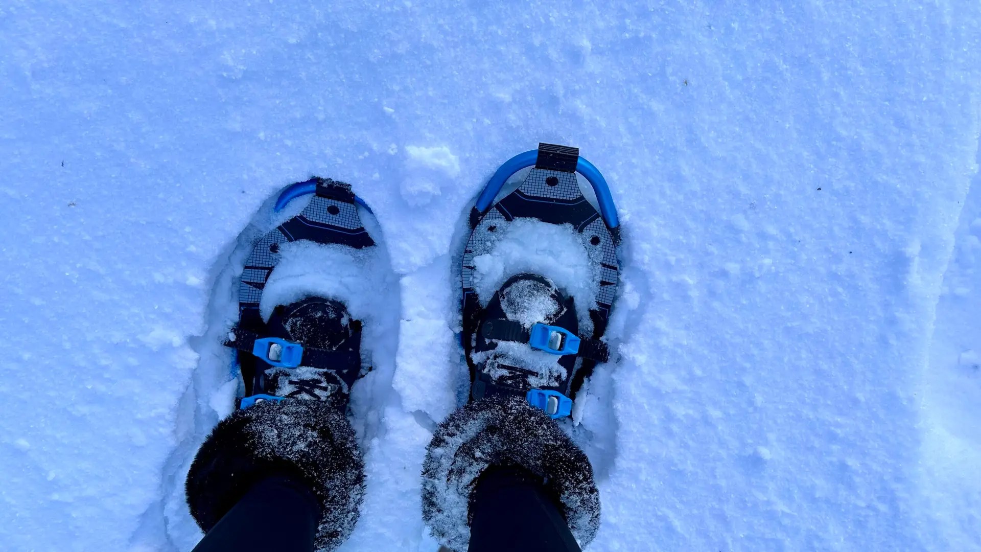 If you've never tried snowshoeing, it's a workout! Not like cross-country skiing, but still a workout.