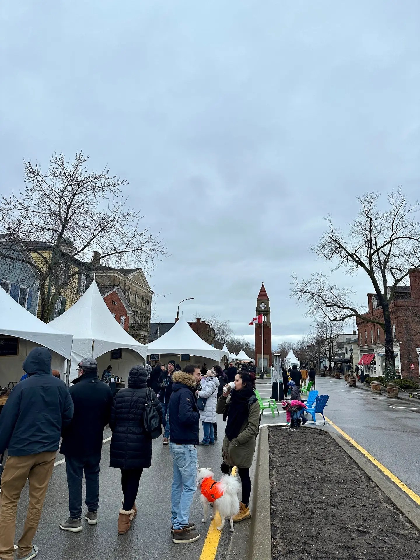 The Icewine Festival