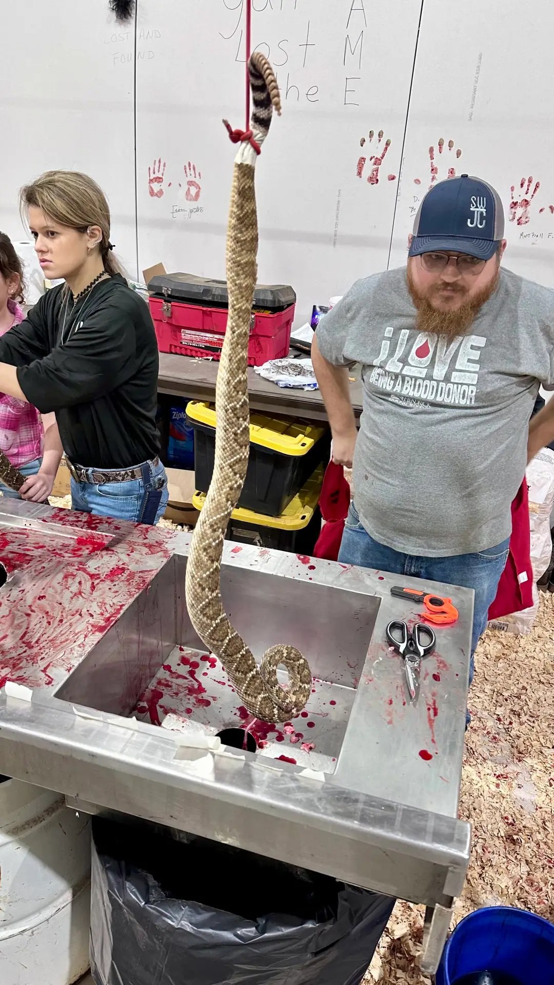 Snake skinning...so gross