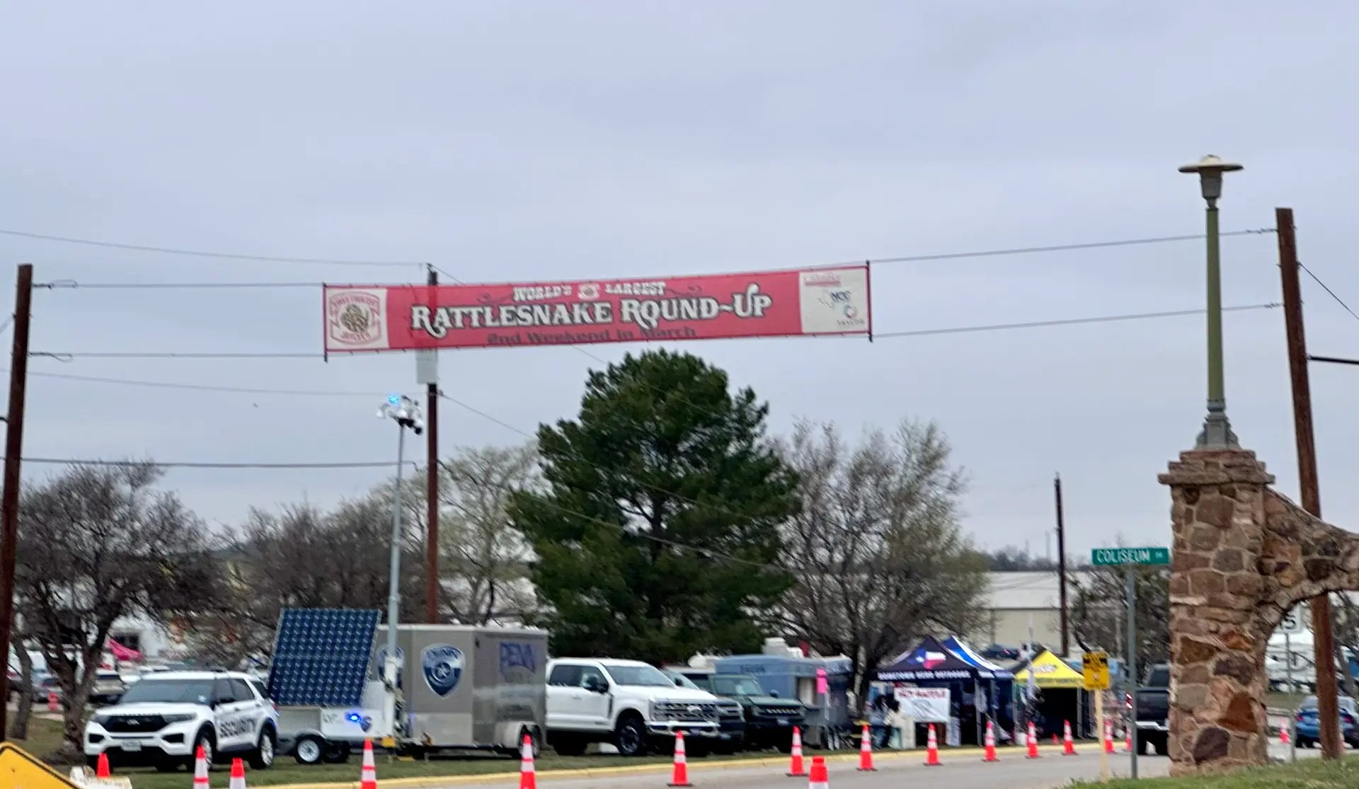 Welcome to the Rattlesnake Roundup!