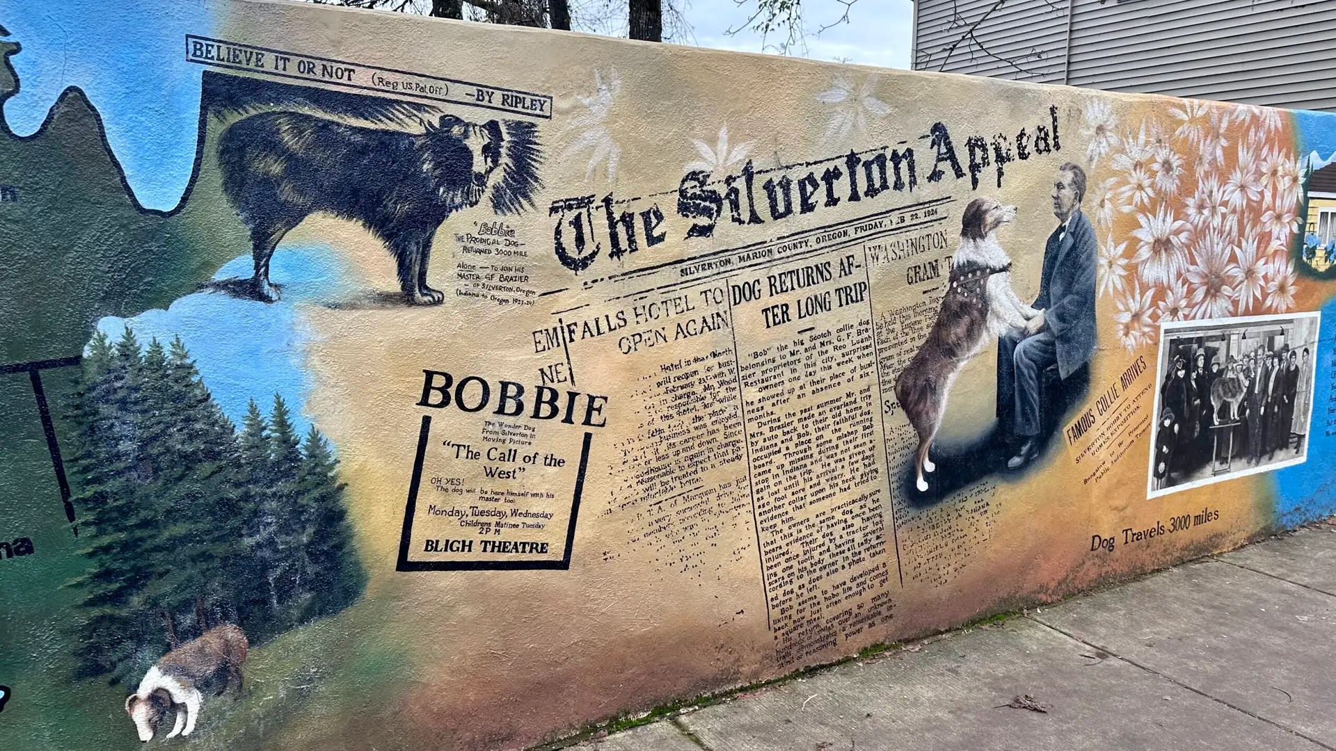 And more of Bobbie's mural