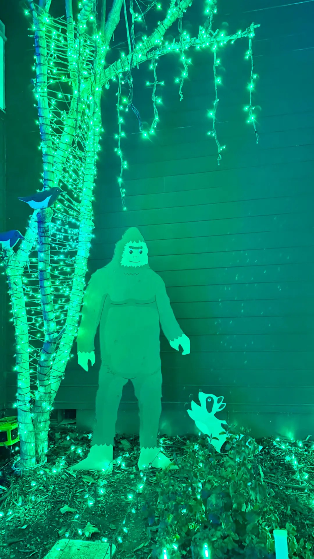 And there he is...Bigfoot!