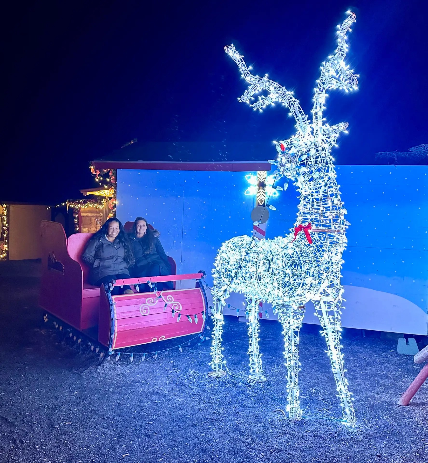 It took way too many attempts to get this picture