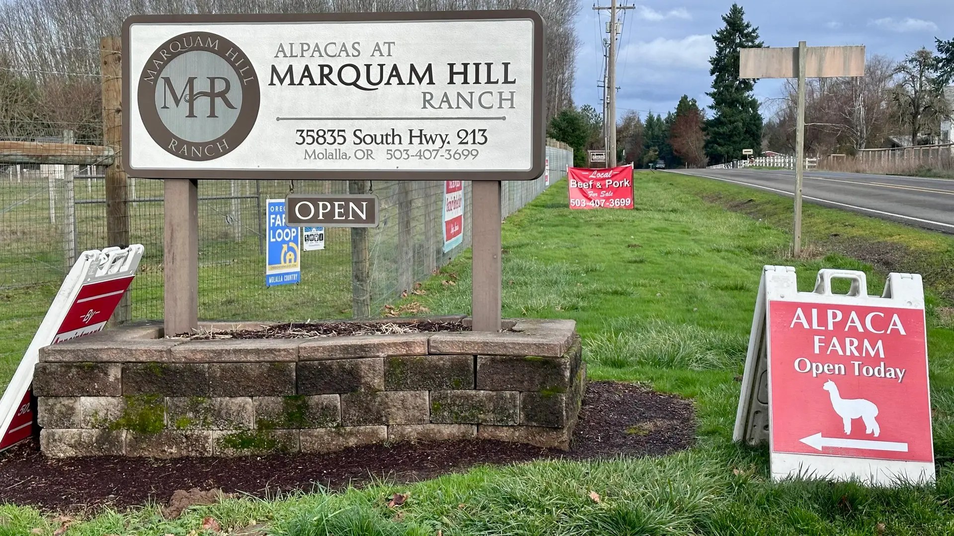 I'm here to see the alpacas...