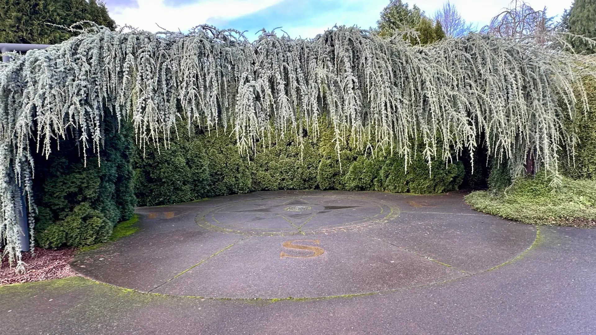 I thought this was neat. It is quite pretty hanging over the compass.