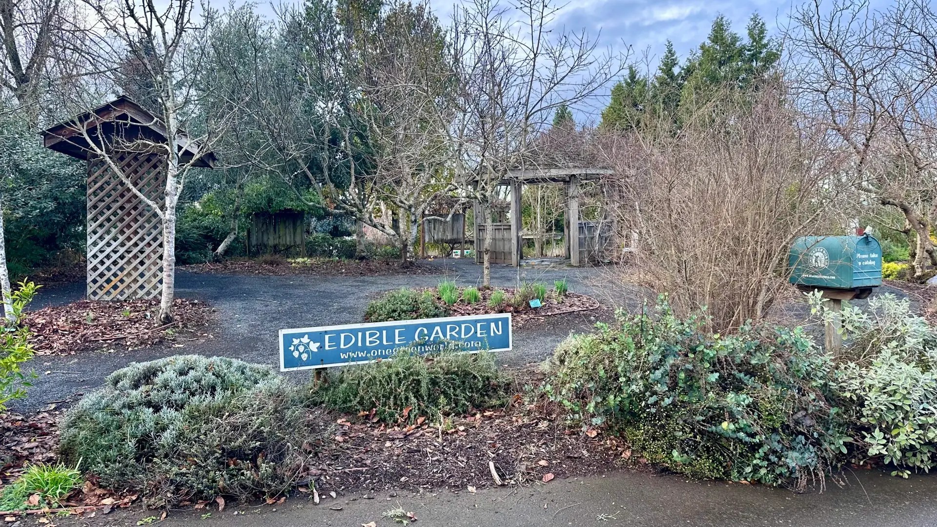 The edible garden doesn't look so appealing...